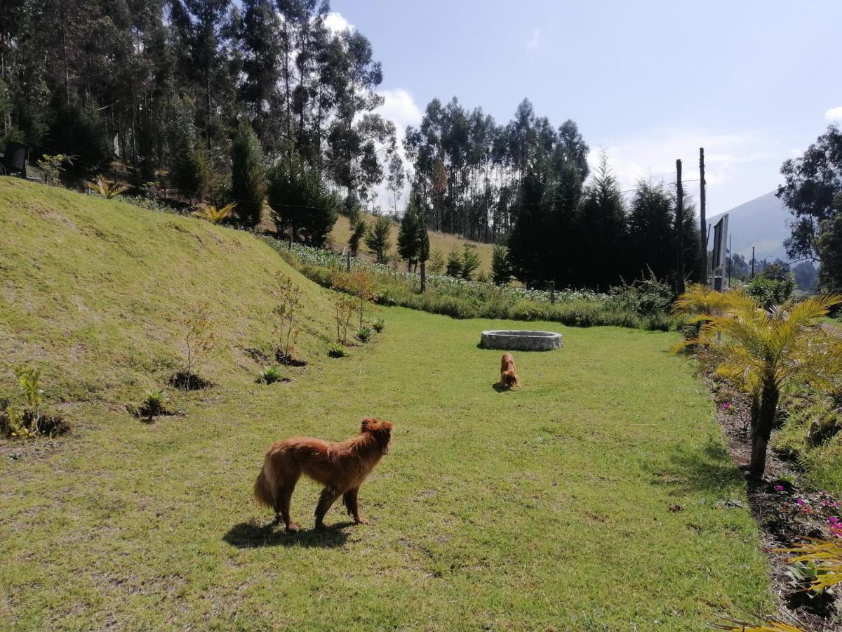 Samay Toa Otavalo Exterior foto